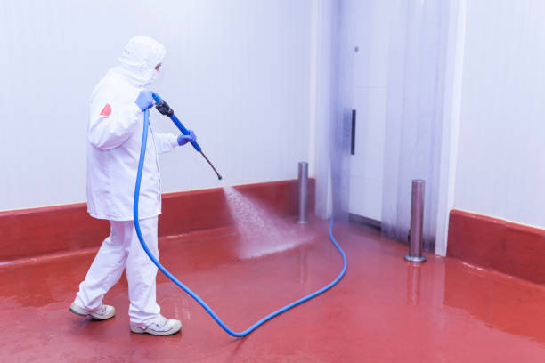 Best Boat and Dock Cleaning  in Linden, TN
