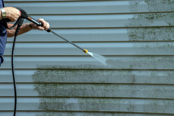Professional  Pressure Washing Services in Linden, TN