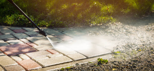 Best Driveway Pressure Washing  in Linden, TN